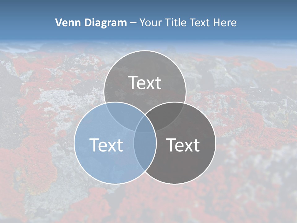 Travel Old Red PowerPoint Template