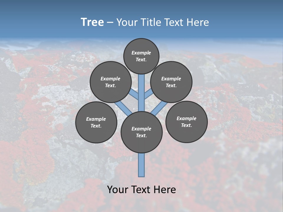 Travel Old Red PowerPoint Template