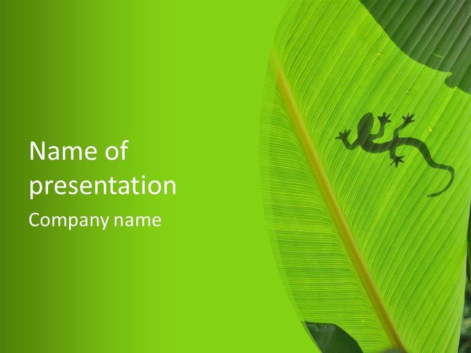 Nature Below Animal PowerPoint Template