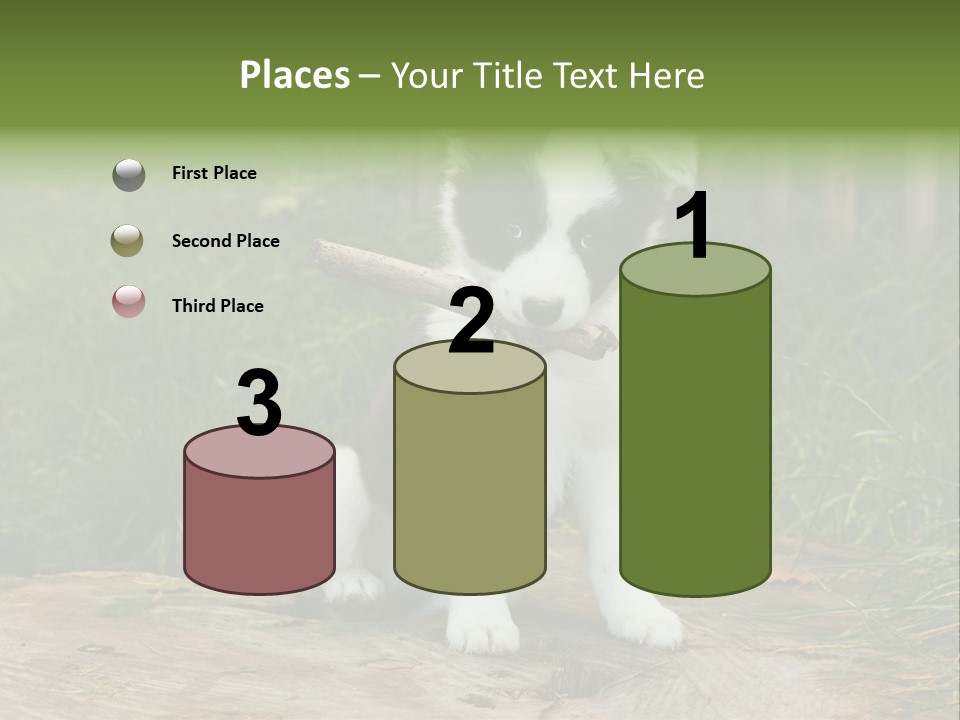 Grass Garden Newborn PowerPoint Template