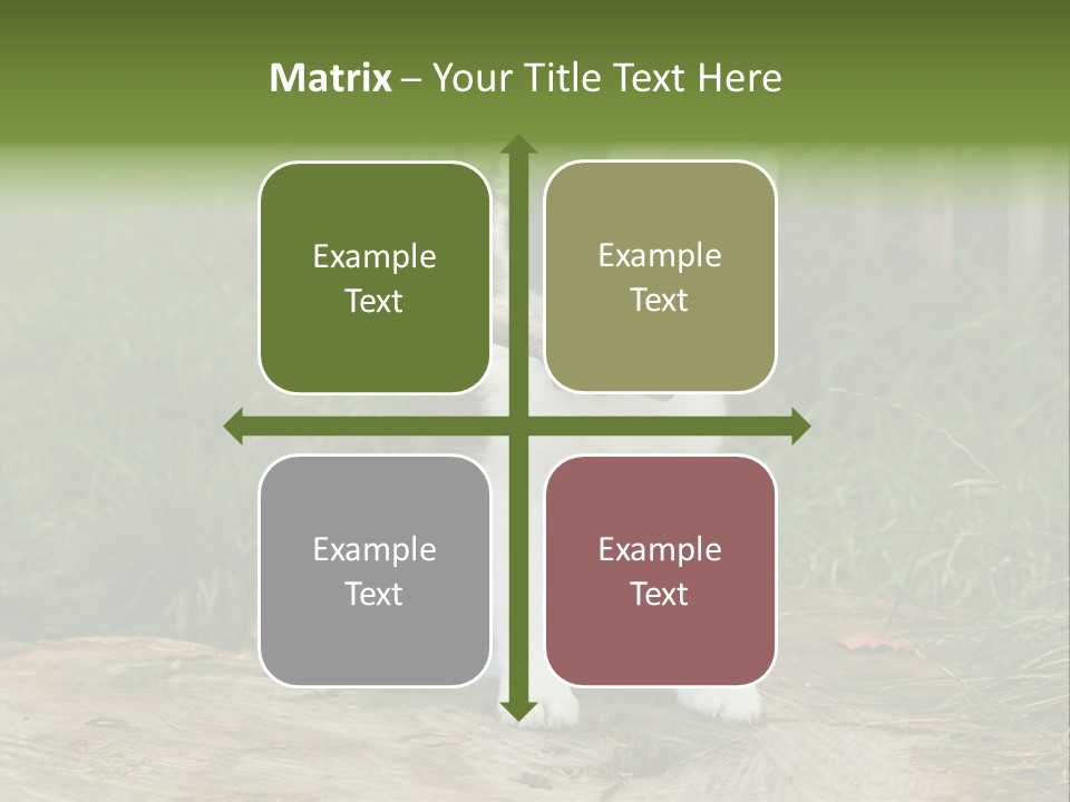 Grass Garden Newborn PowerPoint Template