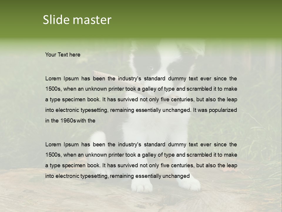 Grass Garden Newborn PowerPoint Template