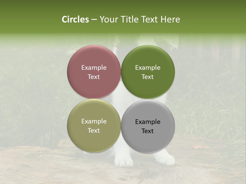 Grass Garden Newborn PowerPoint Template