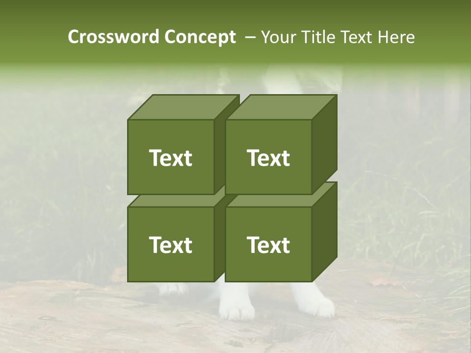 Grass Garden Newborn PowerPoint Template