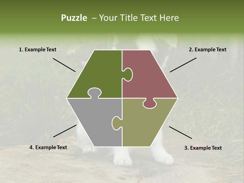 Grass Garden Newborn PowerPoint Template