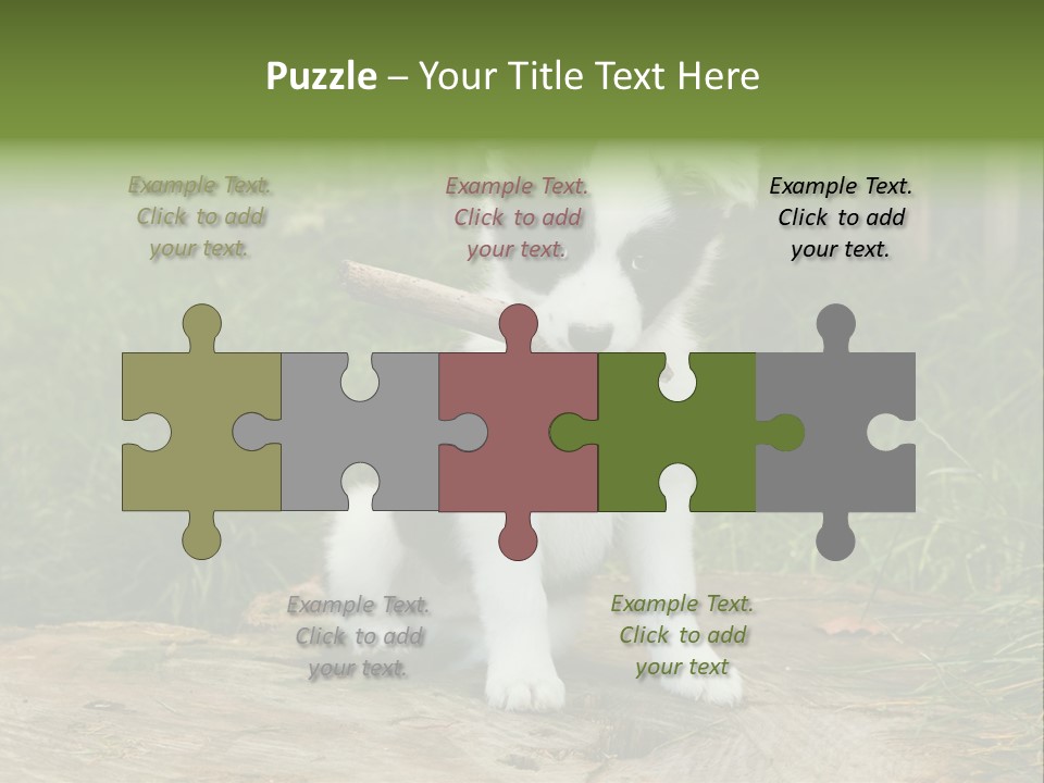 Grass Garden Newborn PowerPoint Template