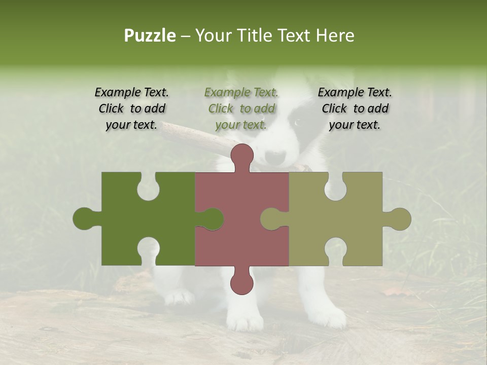 Grass Garden Newborn PowerPoint Template