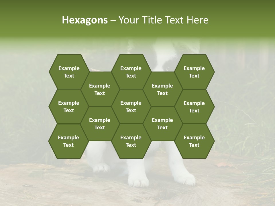 Grass Garden Newborn PowerPoint Template