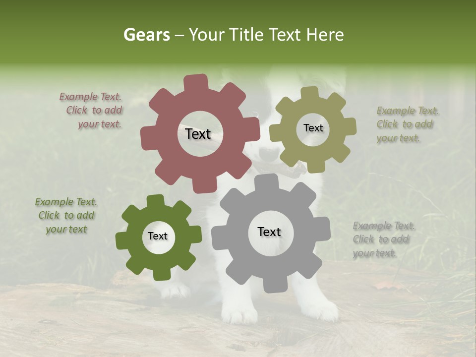 Grass Garden Newborn PowerPoint Template