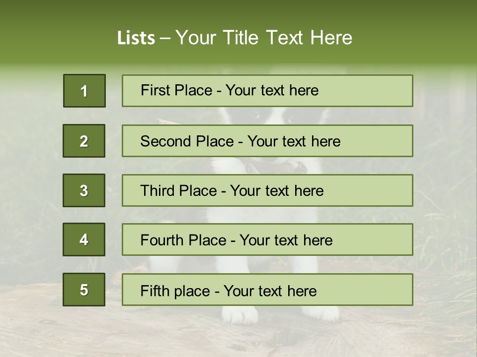 Grass Garden Newborn PowerPoint Template