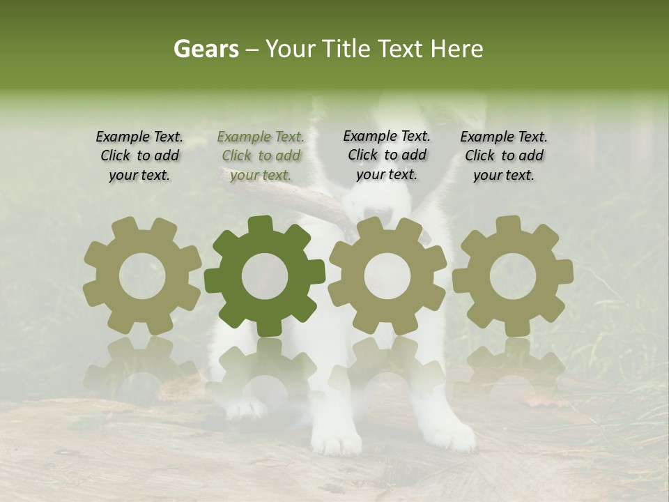 Grass Garden Newborn PowerPoint Template