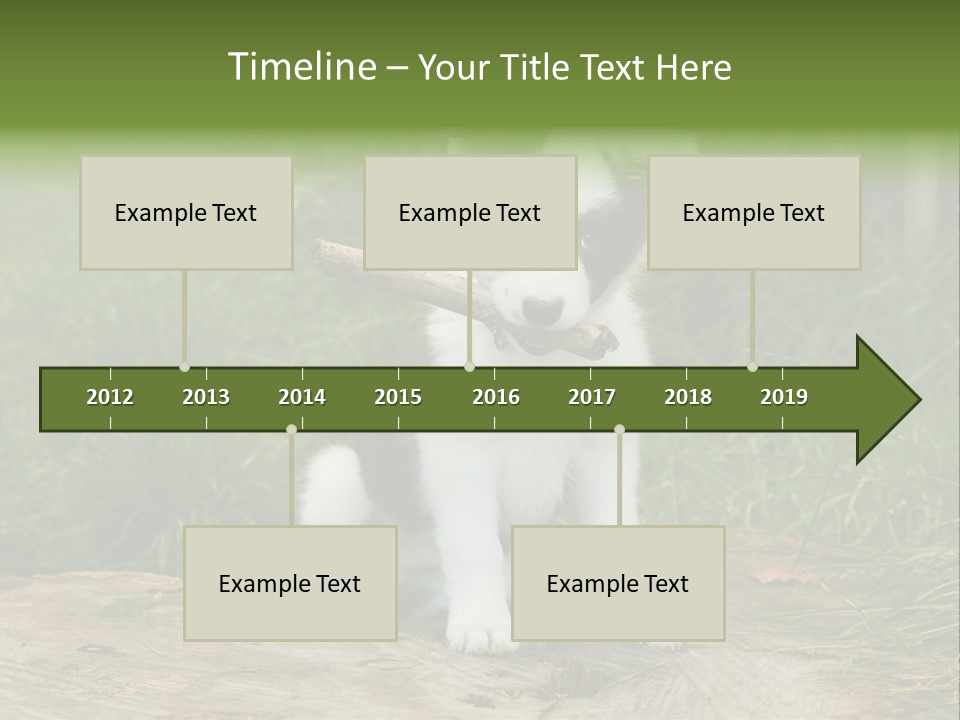 Grass Garden Newborn PowerPoint Template