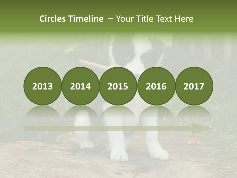 Grass Garden Newborn PowerPoint Template