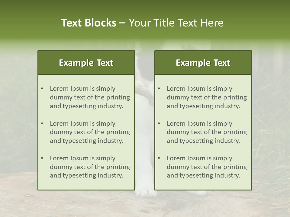 Grass Garden Newborn PowerPoint Template