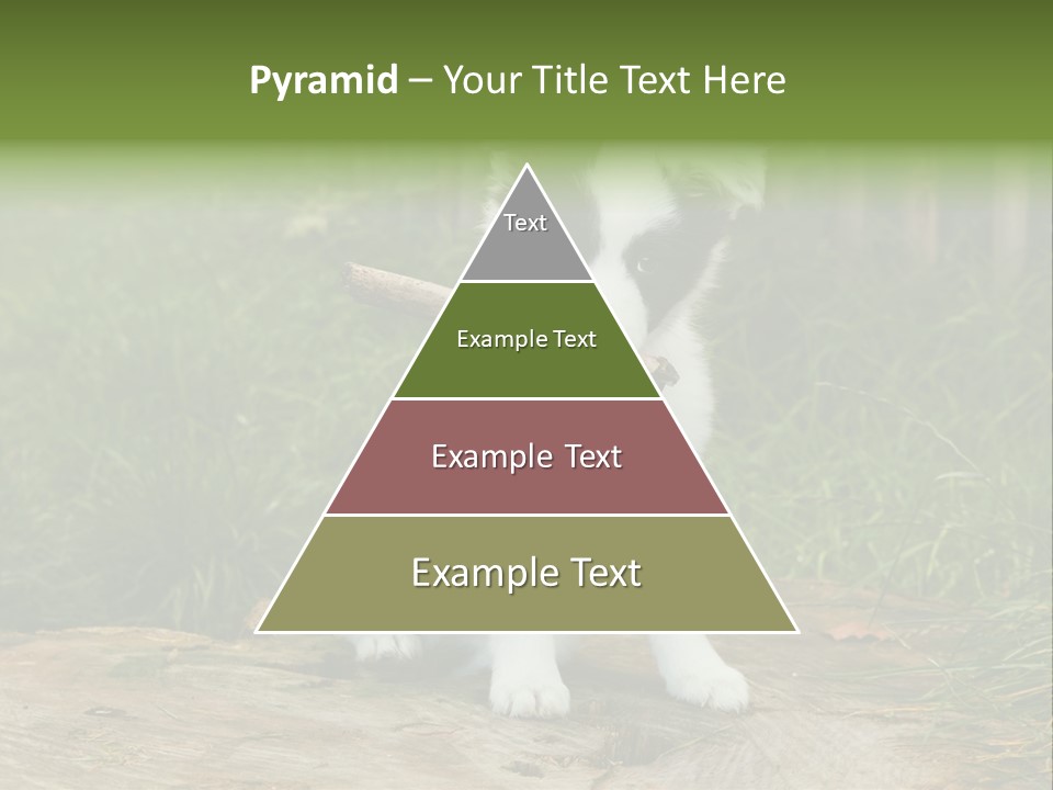 Grass Garden Newborn PowerPoint Template