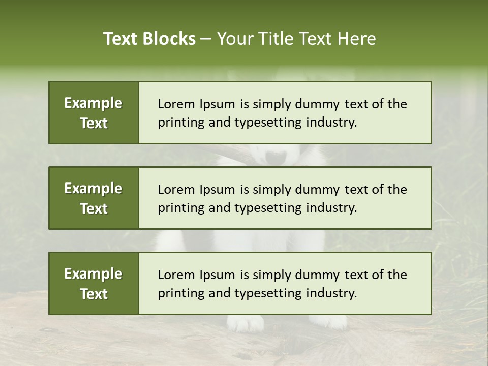 Grass Garden Newborn PowerPoint Template