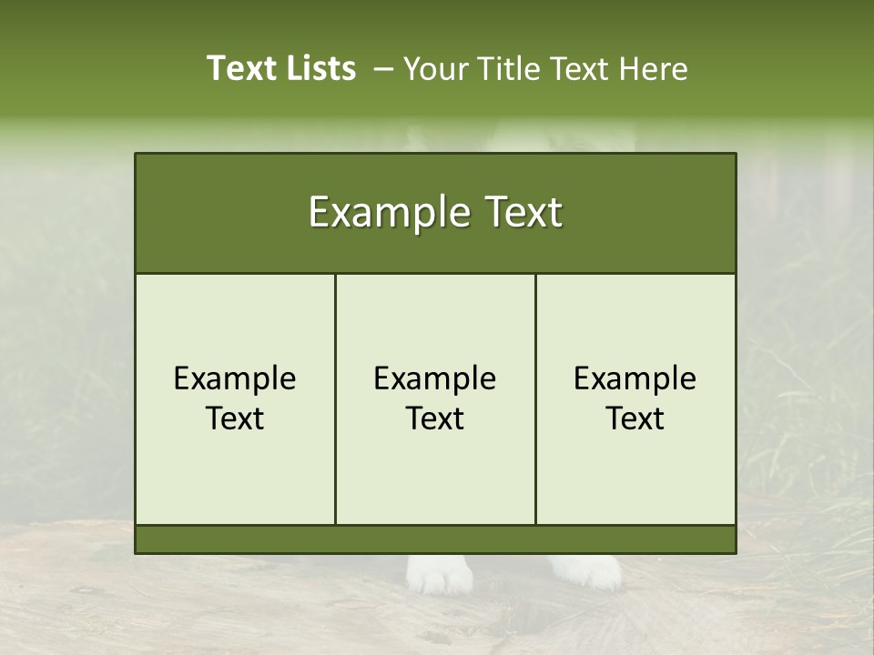 Grass Garden Newborn PowerPoint Template