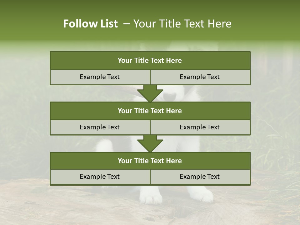 Grass Garden Newborn PowerPoint Template