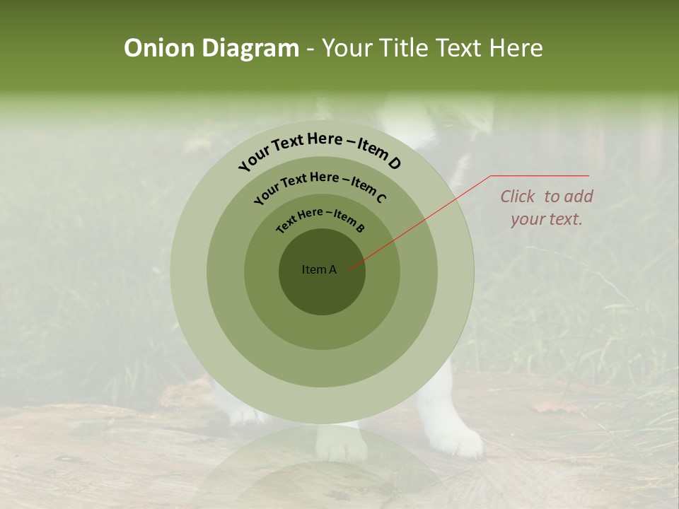 Grass Garden Newborn PowerPoint Template