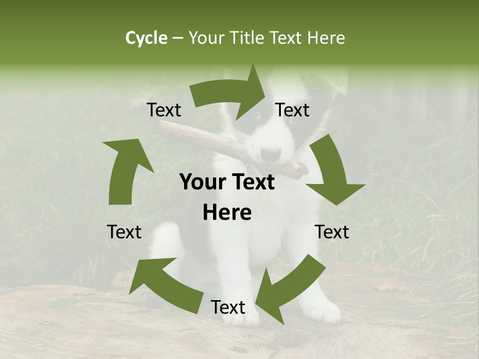 Grass Garden Newborn PowerPoint Template