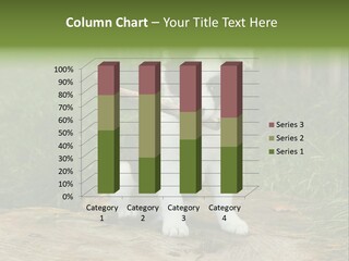 Grass Garden Newborn PowerPoint Template