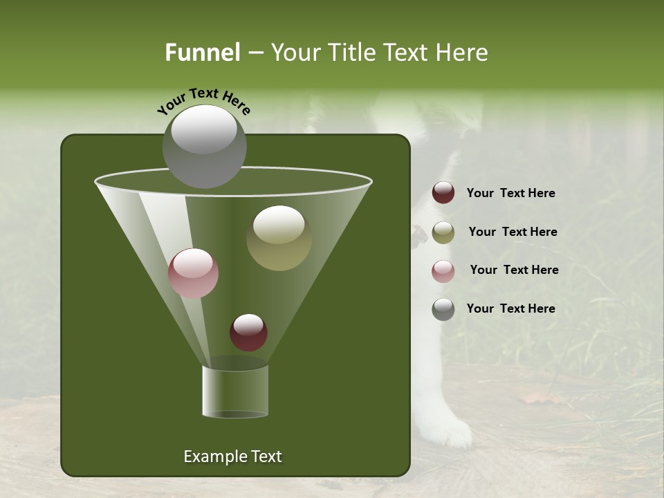 Grass Garden Newborn PowerPoint Template