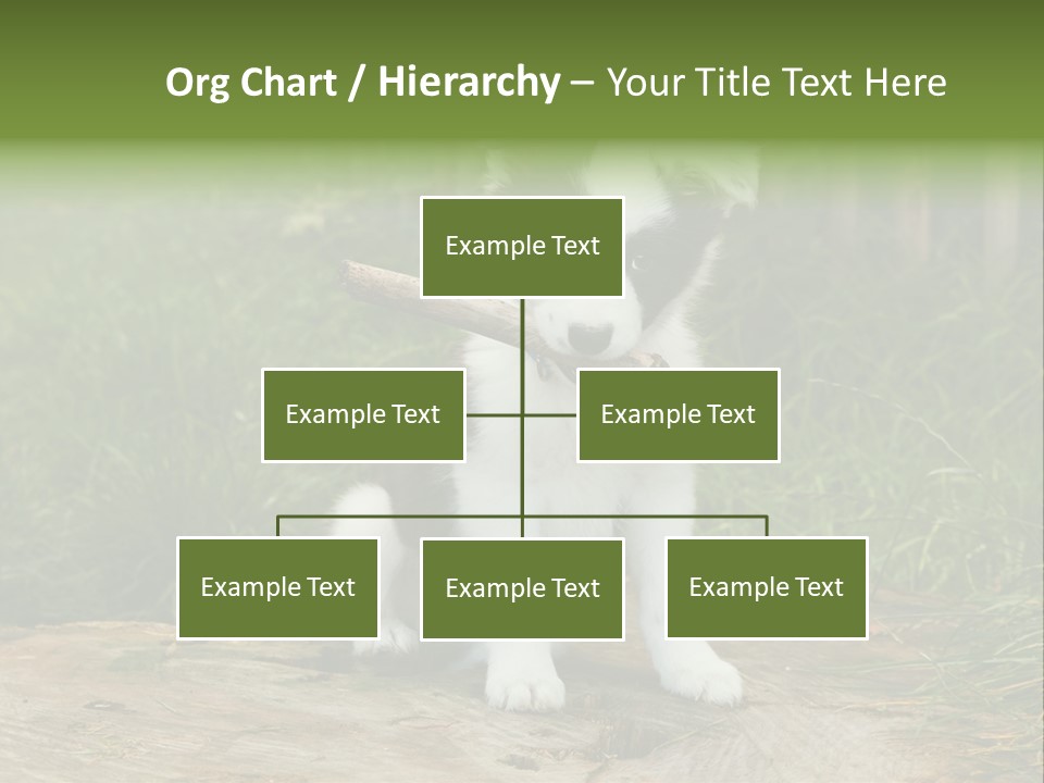 Grass Garden Newborn PowerPoint Template