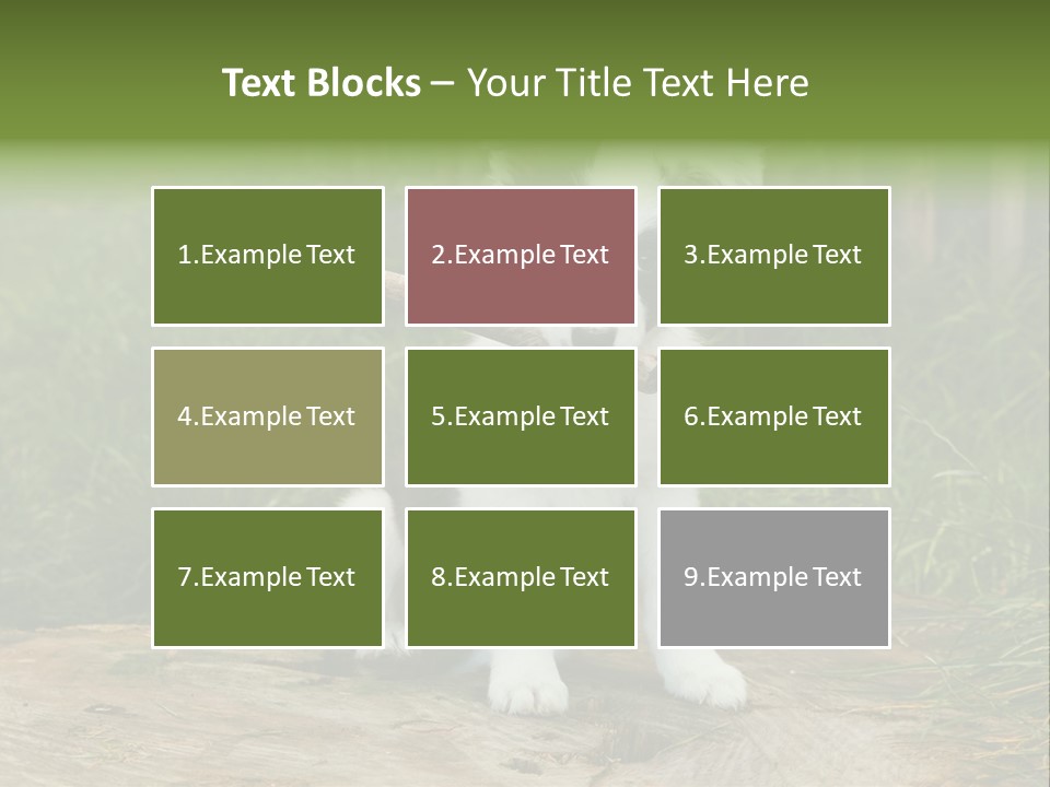 Grass Garden Newborn PowerPoint Template