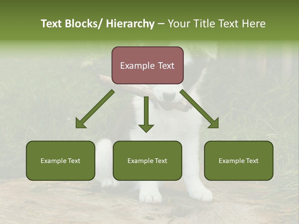 Grass Garden Newborn PowerPoint Template