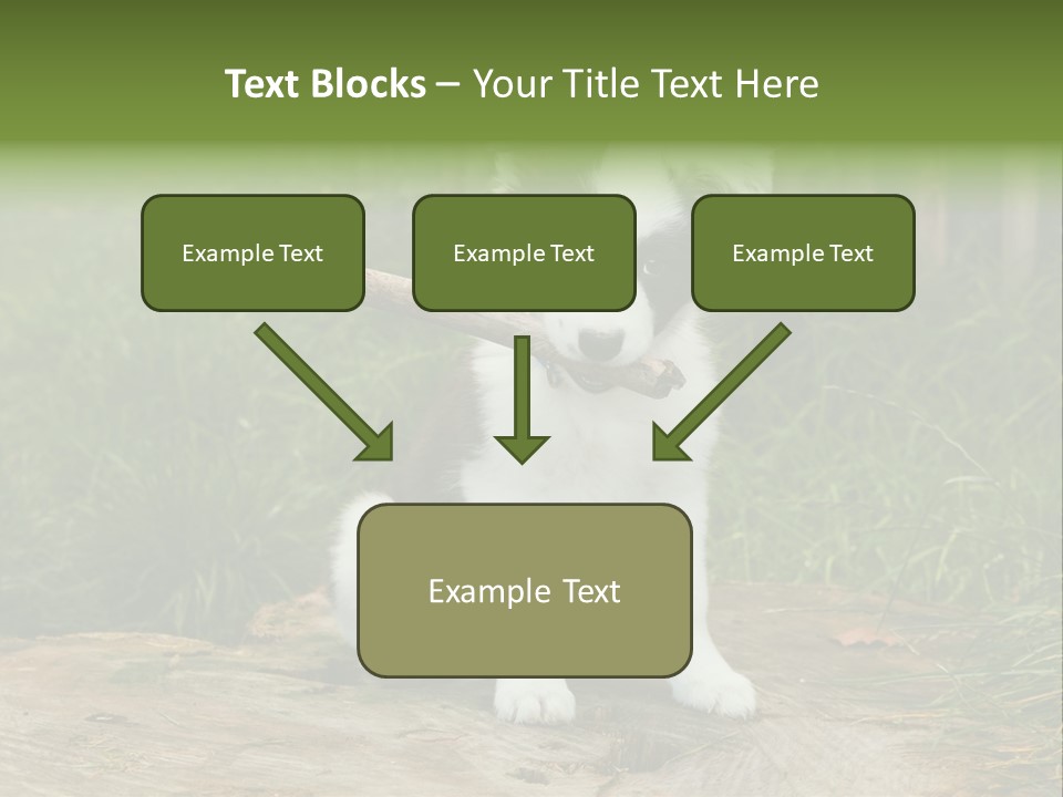 Grass Garden Newborn PowerPoint Template