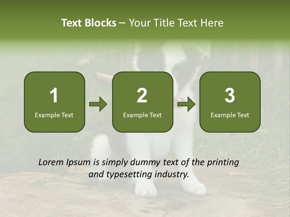 Grass Garden Newborn PowerPoint Template