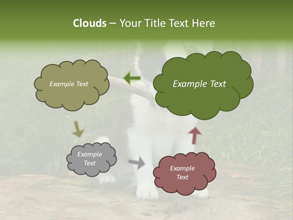 Grass Garden Newborn PowerPoint Template