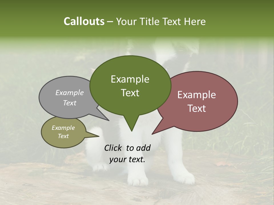 Grass Garden Newborn PowerPoint Template