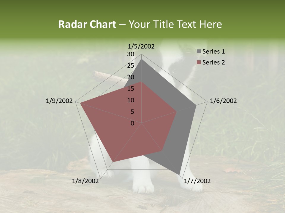 Grass Garden Newborn PowerPoint Template