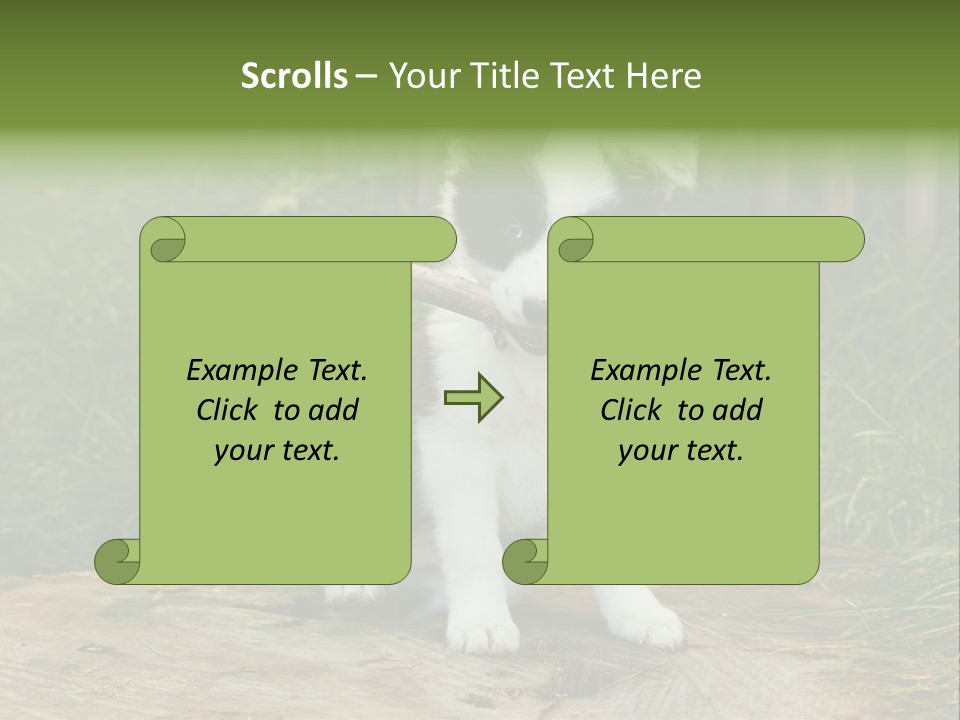 Grass Garden Newborn PowerPoint Template