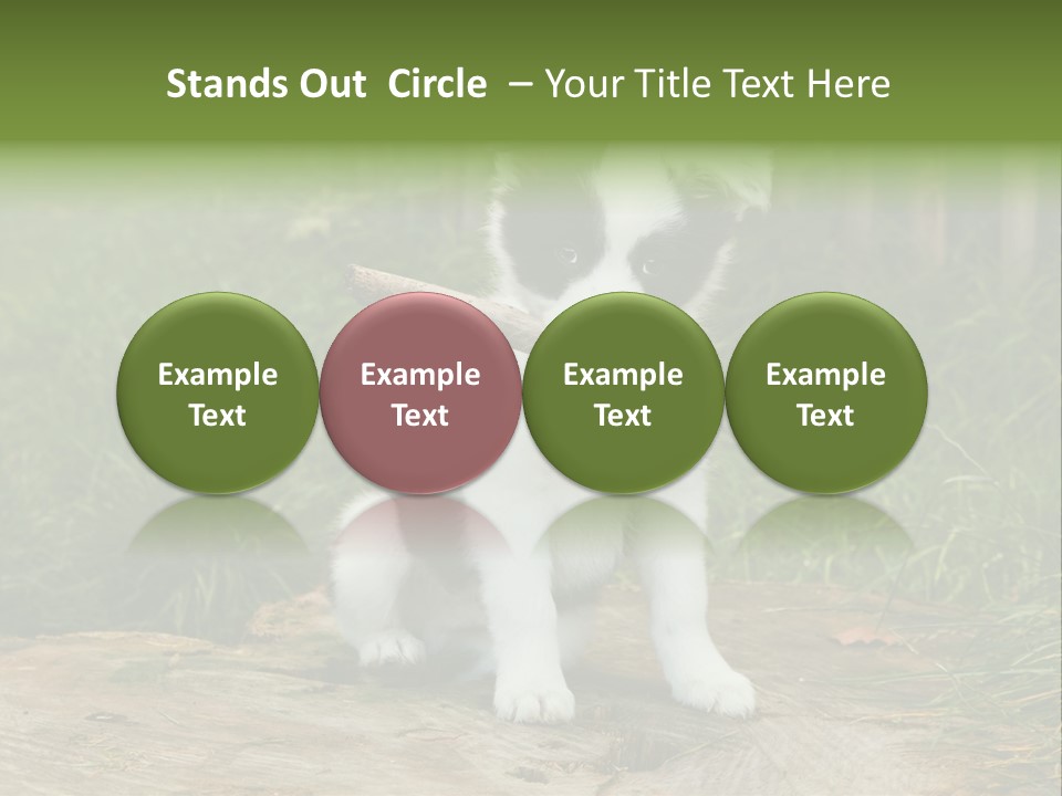 Grass Garden Newborn PowerPoint Template