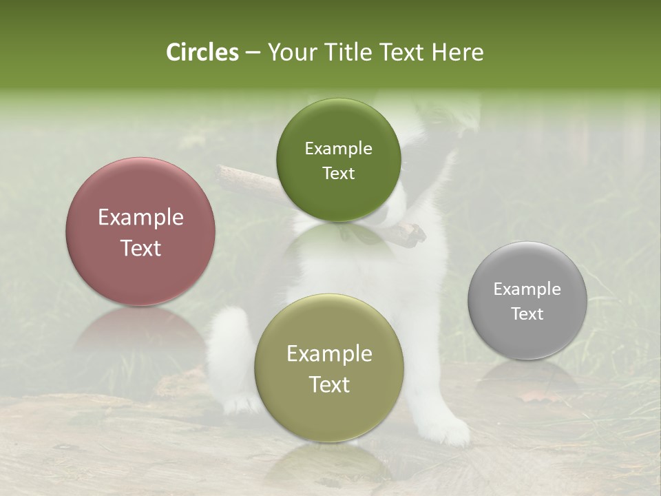 Grass Garden Newborn PowerPoint Template