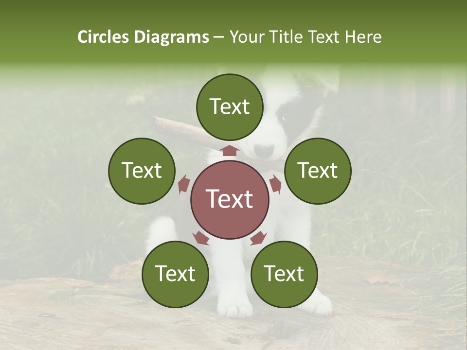 Grass Garden Newborn PowerPoint Template