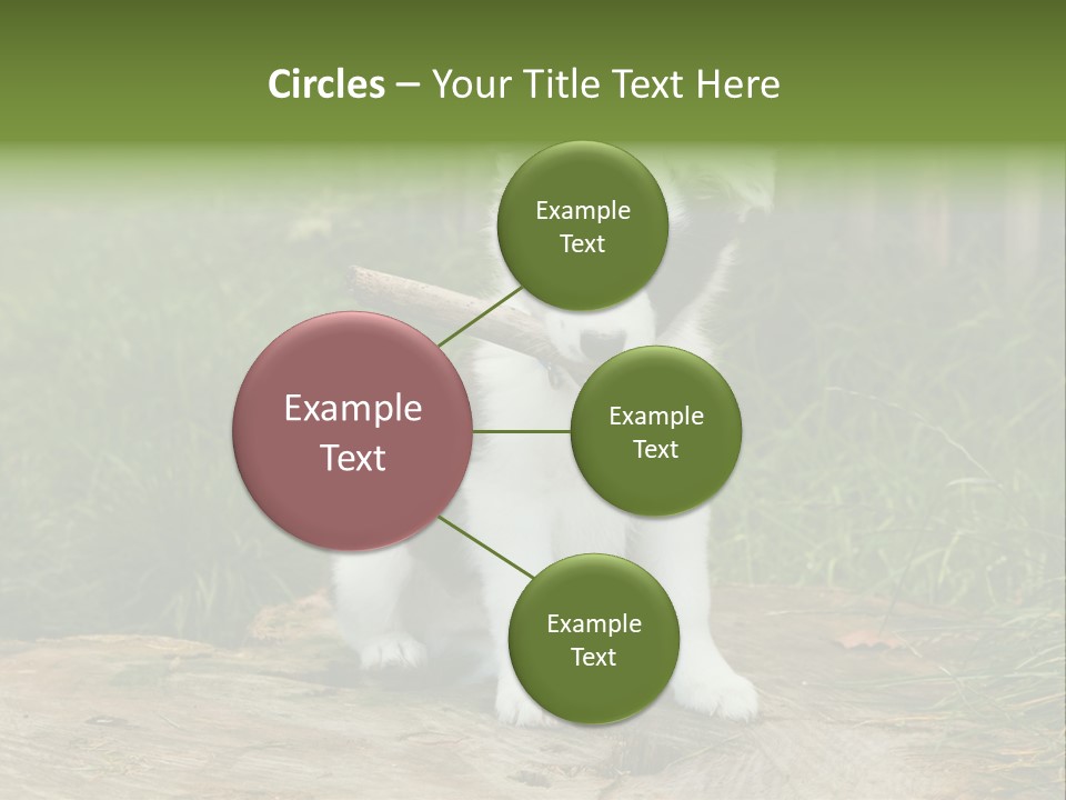 Grass Garden Newborn PowerPoint Template