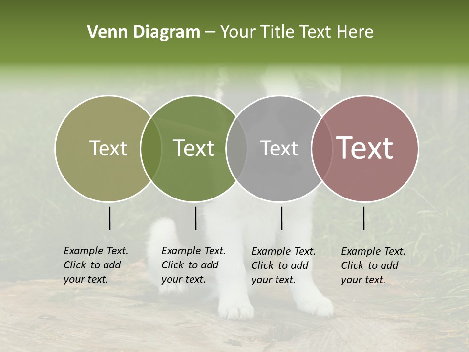 Grass Garden Newborn PowerPoint Template