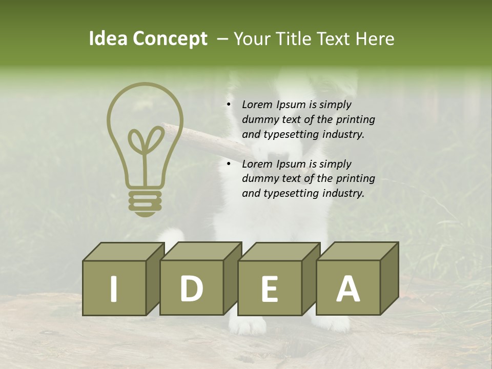 Grass Garden Newborn PowerPoint Template