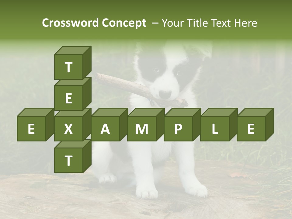 Grass Garden Newborn PowerPoint Template