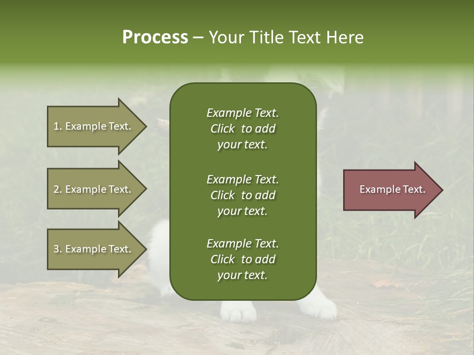 Grass Garden Newborn PowerPoint Template