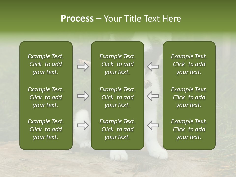 Grass Garden Newborn PowerPoint Template