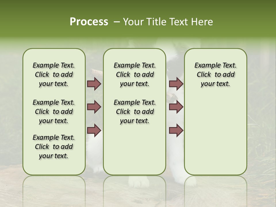 Grass Garden Newborn PowerPoint Template