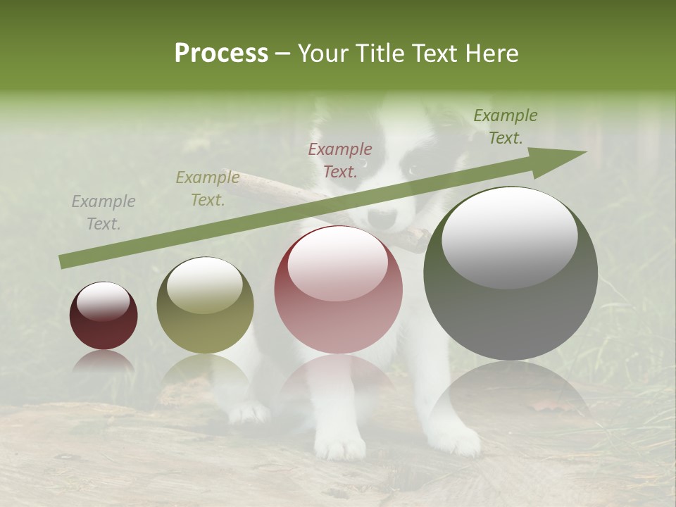 Grass Garden Newborn PowerPoint Template