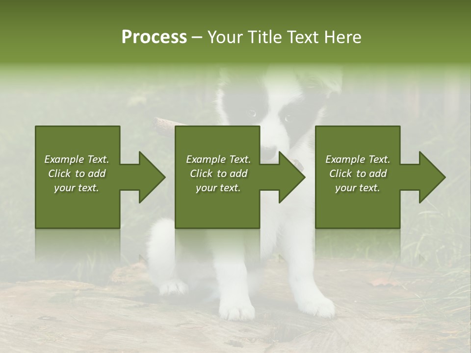 Grass Garden Newborn PowerPoint Template