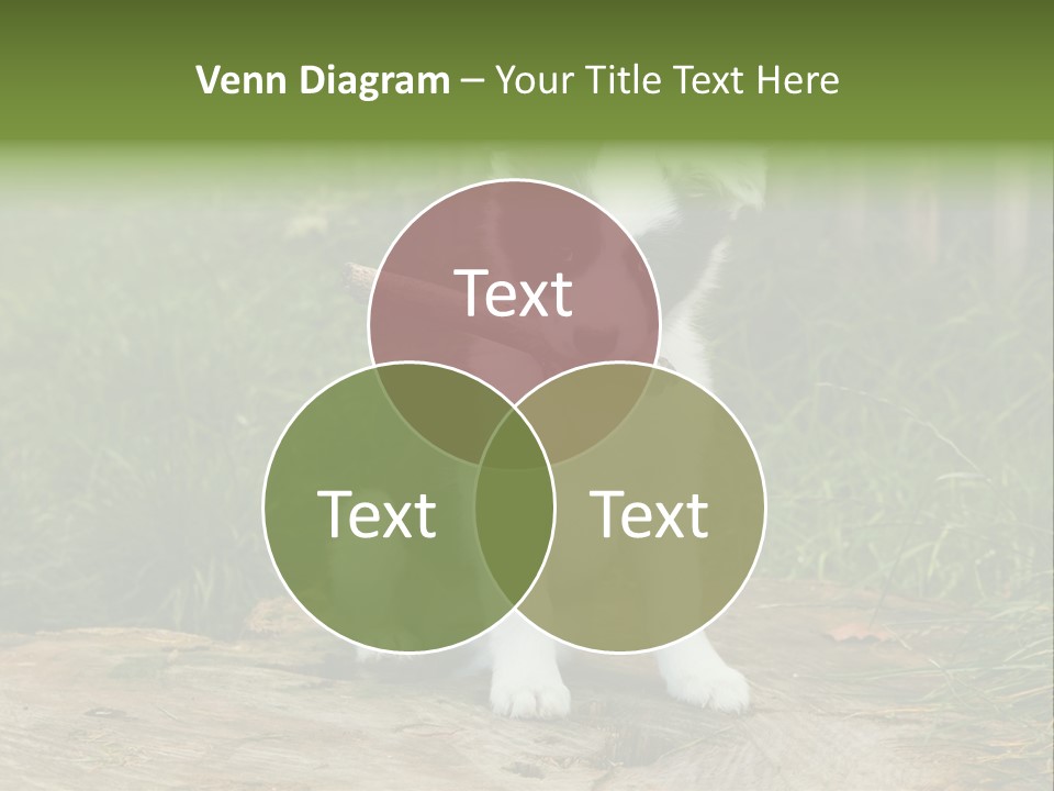 Grass Garden Newborn PowerPoint Template