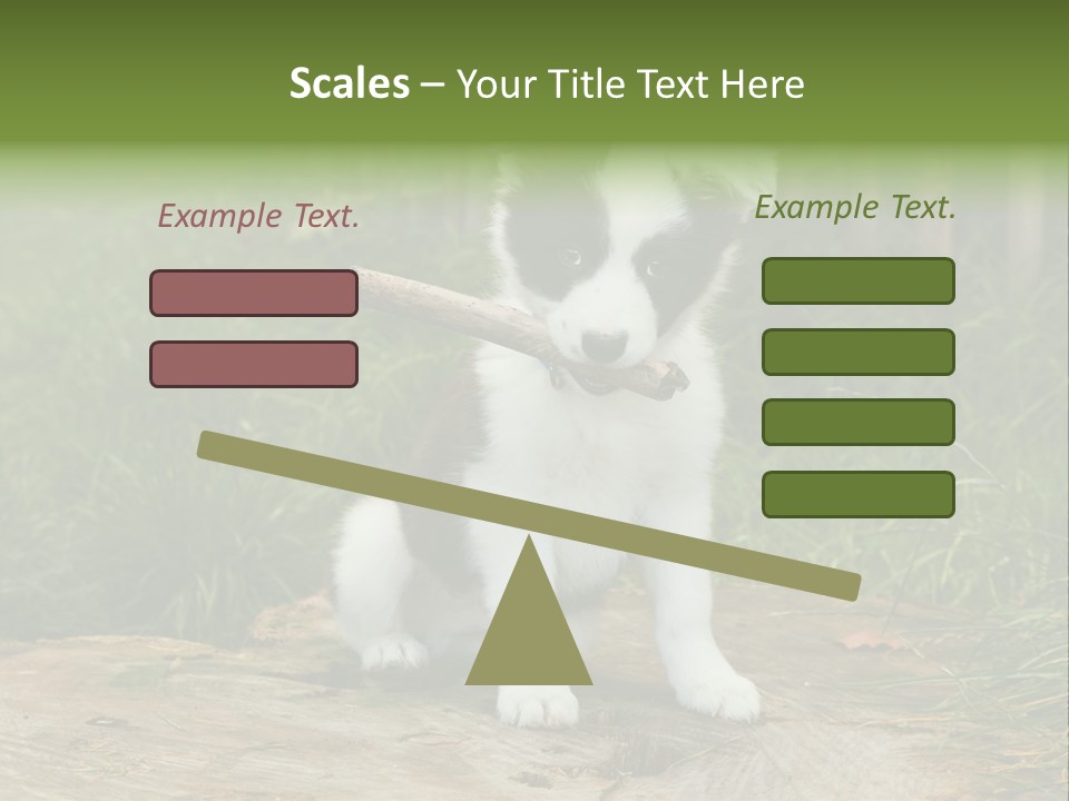 Grass Garden Newborn PowerPoint Template