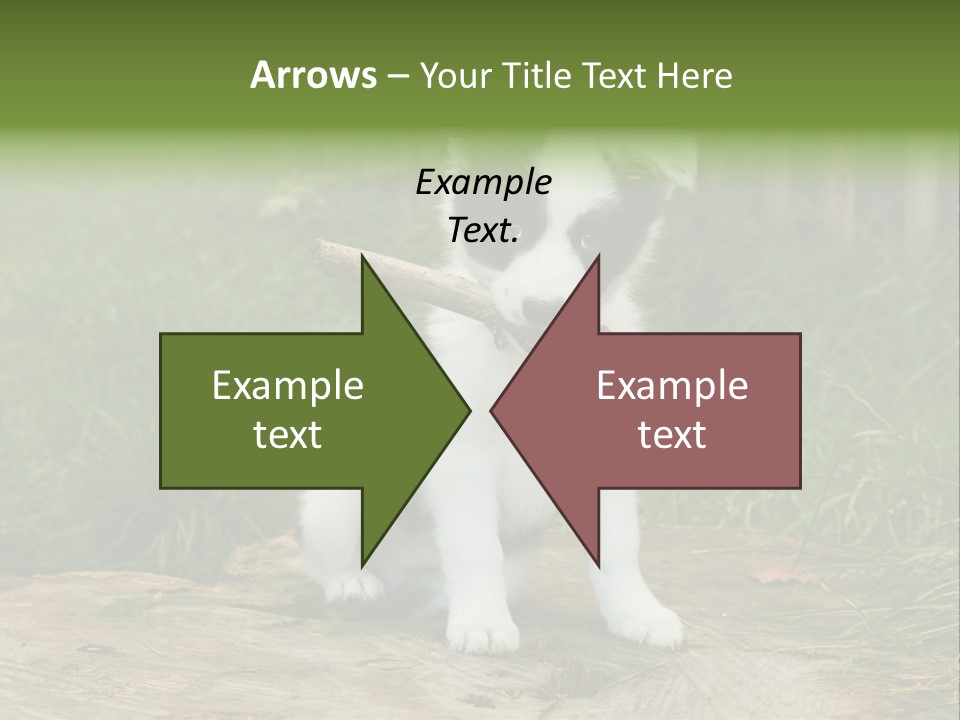 Grass Garden Newborn PowerPoint Template